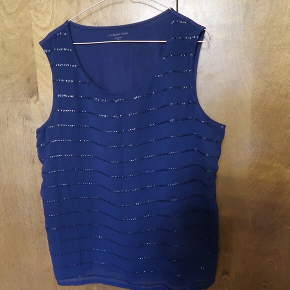 Coldwater Creek Navy Blue Knit Tank Top with Sequin Stripes Size XL (16) - Picture 4 of 6